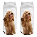 Chaussettes de cheville pour femmes avec chien A667 10