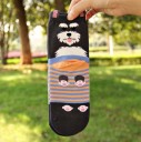 Chaussettes de sport pour femmes avec des chiens 14