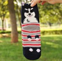 Chaussettes de sport pour femmes avec des chiens 17