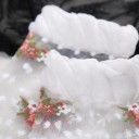 Chaussettes en nylon pour femmes avec des fleurs 4