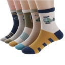 Chaussettes pour enfants - 5 paires A1509 2