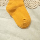 Chaussettes pour enfants - 5 paires A1510 5