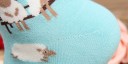 Chaussettes pour femmes - Animaux de la ferme 4