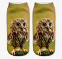 Chaussettes pour femmes avec des animaux 1