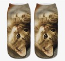 Chaussettes pour femmes avec des chats 4
