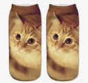 Chaussettes pour femmes avec des chats 8