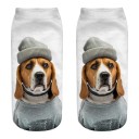 Chaussettes pour femmes avec des chiens amusants 6