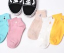 Chaussettes pour femmes avec des chiens 2