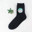 Chaussettes pour femmes avec des perroquets 14