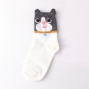 Chaussettes pour femmes avec motif d'animaux 5
