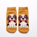 Chaussettes pour femmes avec un chien 16