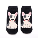 Chaussettes pour femmes avec un chien 12