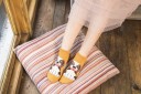 Chaussettes pour femmes avec un chien 3