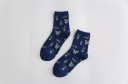 Chaussettes pour hommes avec des cactus 2