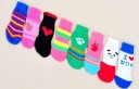 Chaussettes pour petits chiens - 4 pièces 4