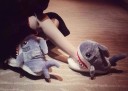 Chaussons pour femmes en forme de requin 3