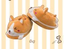 Chaussons pour femmes 2