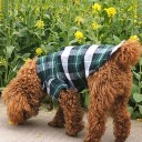 Chemise à carreaux pour chiens 4