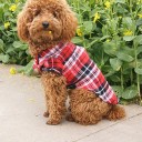 Chemise à carreaux pour chiens 5