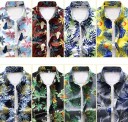 Chemise pour homme à manches courtes F744 2