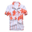 Chemise pour homme A2653 5