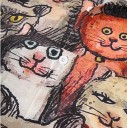 Chemise pour homme avec des chats F640 4