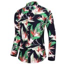 Chemise pour homme F659 14