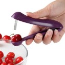 Cherry Pitter 2