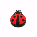 Chiavetta USB coccinella 2