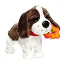 Chien interactif 1