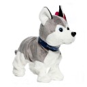 Chien interactif 3