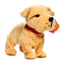 Chien interactif 5