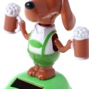 Chien solaire avec bière 4