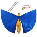 Children's Belly Dance Wings Halved 4