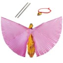 Children's Belly Dance Wings Halved 10