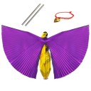 Children's Belly Dance Wings Halved 7