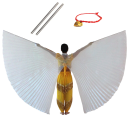 Children's Belly Dance Wings Halved 2