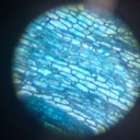 Children's Microscope with Equipment 7