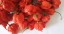 Chili mag Carolina Reaper HP22B a világ legcsípősebb paprika Capsicum Chinense chili mag 20 db 4