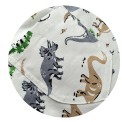 Chłopięce szorty z nadrukiem dinozaurów J1329 12