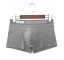 Chris Herren-Boxershorts 20