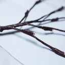 Christmas Decorative Branches 6