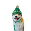 Christmas Hat for Dogs - Christmas Tree 4
