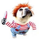 Chucky dukke hundekostume 2