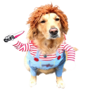 Chucky dukke hundekostume 3