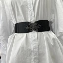 Cinturón elástico de mujer L213 1
