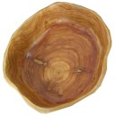 Ciotola decorativa in legno 3