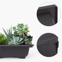 Ciotola e sottociotola per bonsai 10 pz 3