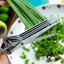 Ciseaux à herbes 2
