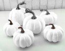 Citrouilles décoratives en plastique 12 pcs 2